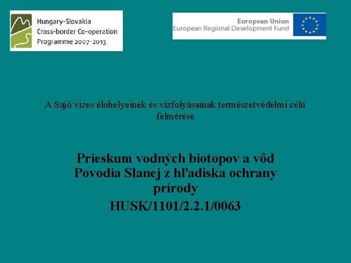 A Sajó vizes élohelyeinek és vízfolyásainak természetvédelmi célú felmérése Prieskum vodných biotopov a vôd