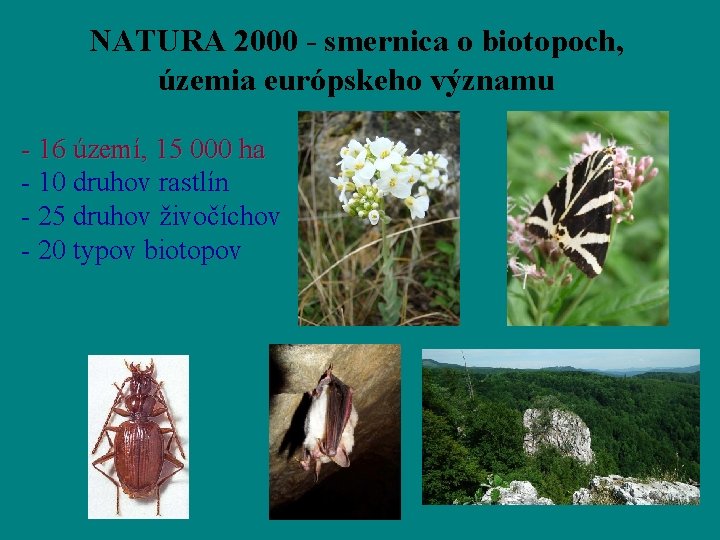 NATURA 2000 - smernica o biotopoch, územia európskeho významu - 16 území, 15 000