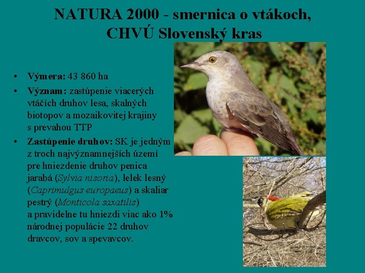 NATURA 2000 - smernica o vtákoch, CHVÚ Slovenský kras • Výmera: 43 860 ha