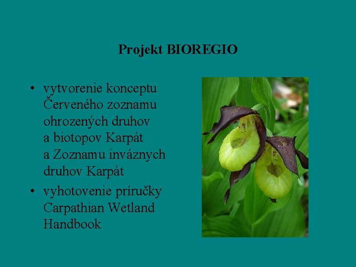 Projekt BIOREGIO • vytvorenie konceptu Červeného zoznamu ohrozených druhov a biotopov Karpát a Zoznamu