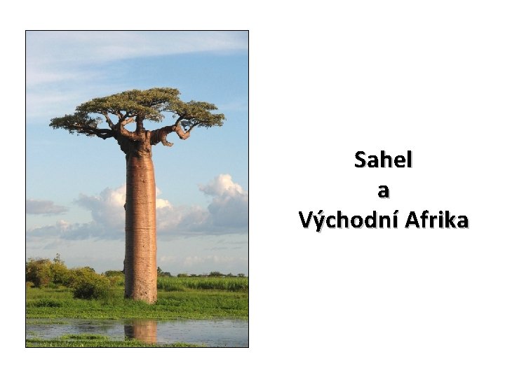 Sahel a Východní Afrika 