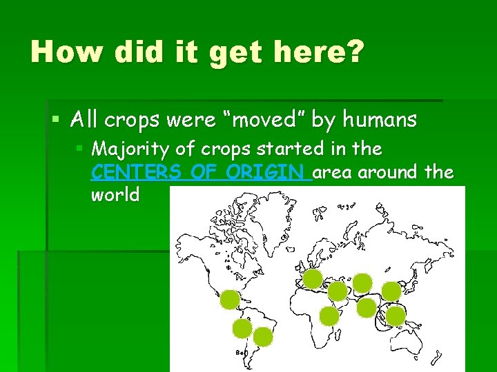 How did it get here? § All crops were “moved” by humans § Majority