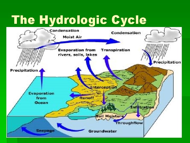 The Hydrologic Cycle 