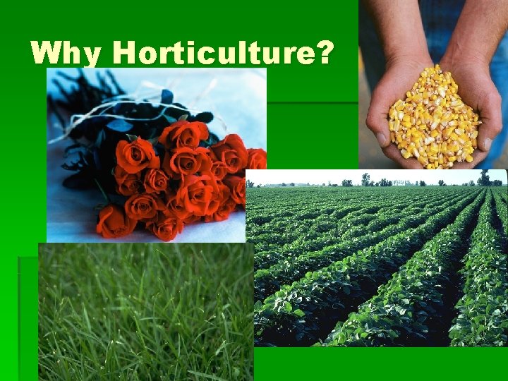 Why Horticulture? 