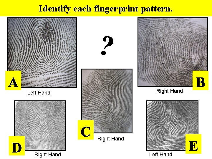 Identify each fingerprint pattern. Right Hand Left Hand Identify each fingerprint pattern. Right Hand Left Hand