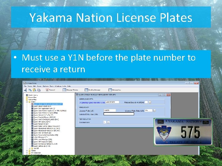 Yakama Nation License Plates • Must use a Y 1 N before the plate