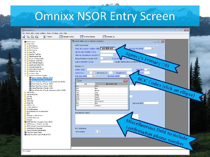 Omnixx NSOR Entry Screen WADI 05400 Agen cy's Prim NCIC ary O Code RI