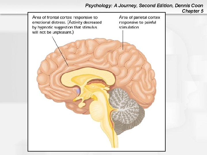 Psychology: A Journey, Second Edition, Dennis Coon Chapter 5 Psychology: A Journey, Second Edition, Dennis Coon Chapter 5