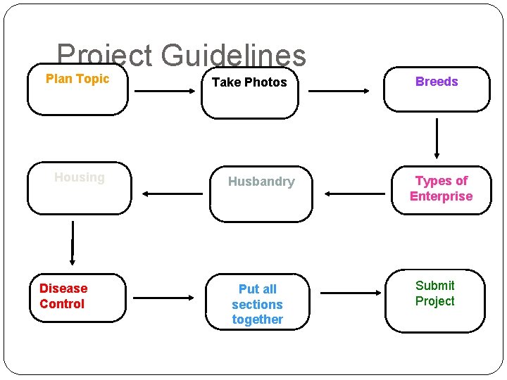 Project Guidelines Plan Topic Housing Disease Control Take Photos Husbandry Put all sections together