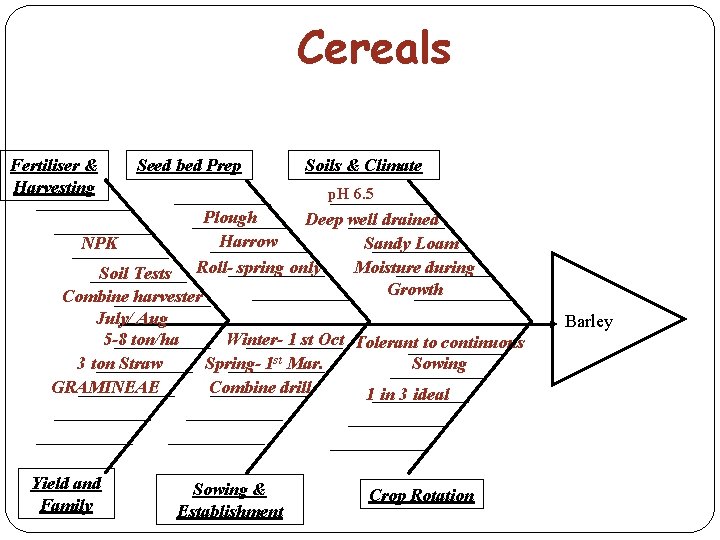 Cereals Fertiliser & Harvesting Seed bed Prep Soils & Climate p. H 6. 5