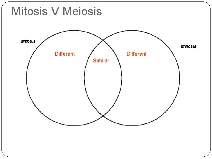 Mitosis V Meiosis Mitosis Meiosis Different Similar 