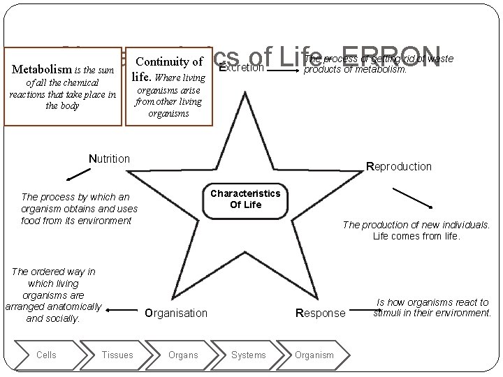 Continuity of Characteristics of Life- ERRON Metabolism is the sum of all the chemical