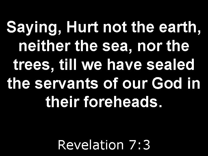Saying, Hurt not the earth, neither the sea, nor the trees, till we have