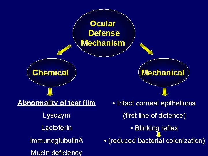 Ocular Defense Mechanism Chemical Mechanical Abnormality of tear film • Intact corneal epitheliuma Lysozym