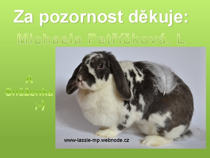 Za pozornost děkuje: www-lassie-mp. webnode. cz 