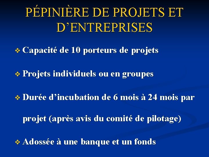 PÉPINIÈRE DE PROJETS ET D’ENTREPRISES v Capacité de 10 porteurs de projets v Projets