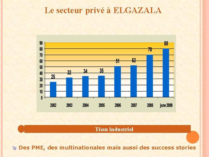 Le secteur privé à ELGAZALA Tissu industriel ø Des PME, des multinationales mais aussi