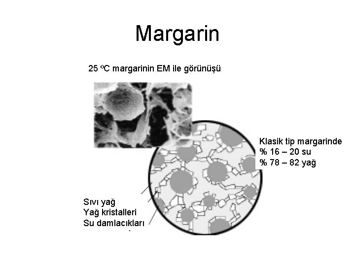 Margarin 25 ºC margarinin EM ile görünüşü Klasik tip margarinde % 16 – 20