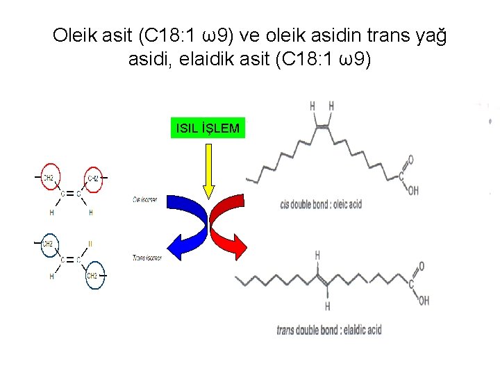 Oleik asit (C 18: 1 ω9) ve oleik asidin trans yağ asidi, elaidik asit
