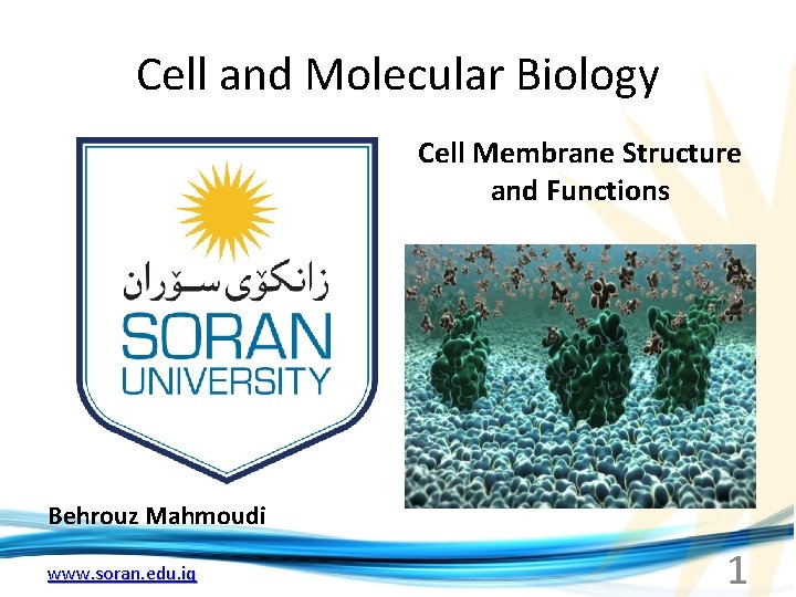 Cell and Molecular Biology Cell Membrane Structure and Functions Behrouz Mahmoudi www. soran. edu.