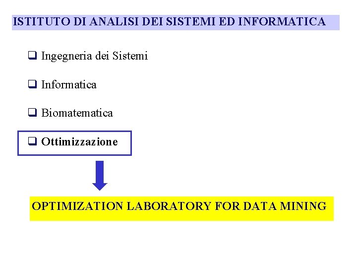 ISTITUTO DI ANALISI DEI SISTEMI ED INFORMATICA q Ingegneria dei Sistemi q Informatica q