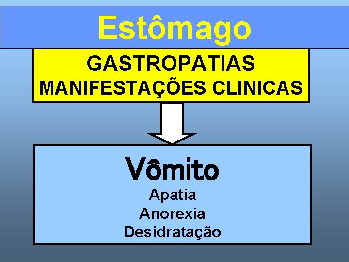 Estômago GASTROPATIAS MANIFESTAÇÕES CLINICAS Vômito Apatia Anorexia Desidratação 
