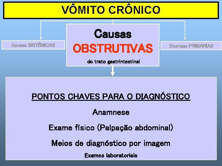 VÔMITO CRÔNICO Causas SISTÊMICAS Causas OBSTRUTIVAS Doenças PRIMÁRIAS do trato gastrintestinal PONTOS CHAVES PARA