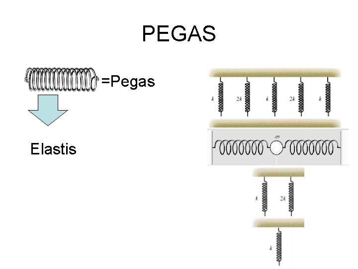 PEGAS =Pegas Elastis 