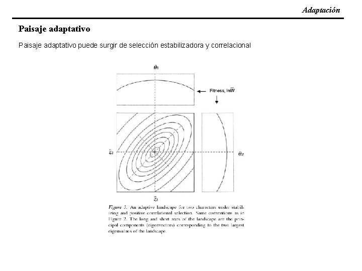 Adaptación Paisaje adaptativo puede surgir de selección estabilizadora y correlacional 