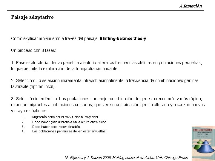 Adaptación Paisaje adaptativo Como explicar movimiento a tráves del paisaje: Shifting-balance theory Un proceso