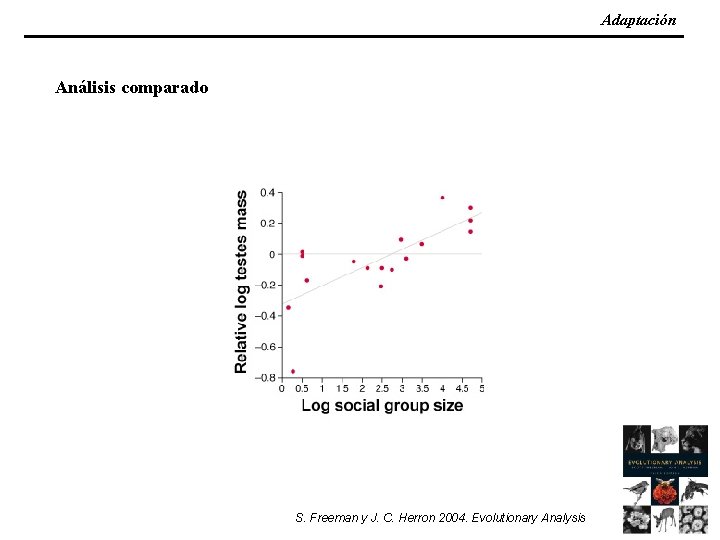 Adaptación Análisis comparado S. Freeman y J. C. Herron 2004. Evolutionary Analysis 