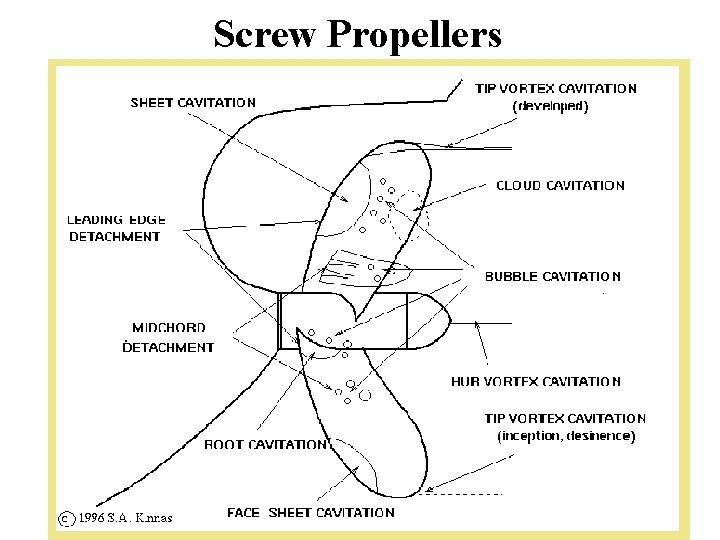 Screw Propellers 