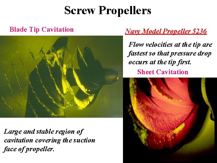 Screw Propellers Blade Tip Cavitation Navy Model Propeller 5236 Flow velocities at the tip