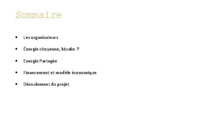 Sommaire § Les organisateurs § Énergie citoyenne, kézako ? § Energie Partagée § Financement