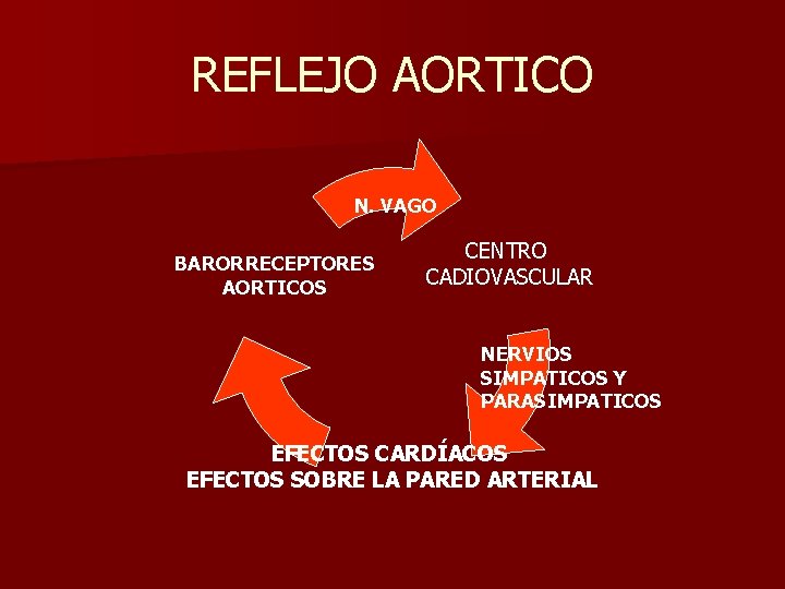 REFLEJO AORTICO N. VAGO BARORRECEPTORES AORTICOS CENTRO CADIOVASCULAR NERVIOS SIMPATICOS Y PARASIMPATICOS EFECTOS CARDÍACOS