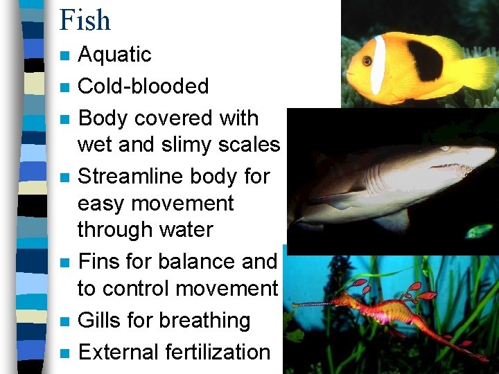 Fish n n n n Aquatic Cold-blooded Body covered with wet and slimy scales