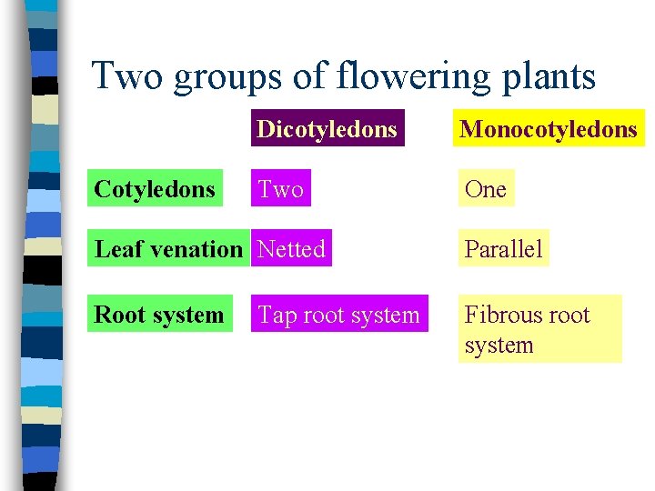 Two groups of flowering plants Cotyledons Dicotyledons Monocotyledons Two One Leaf venation Netted Parallel