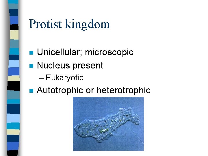 Protist kingdom n n Unicellular; microscopic Nucleus present – Eukaryotic n Autotrophic or heterotrophic