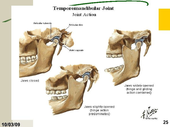 10/03/09 25 