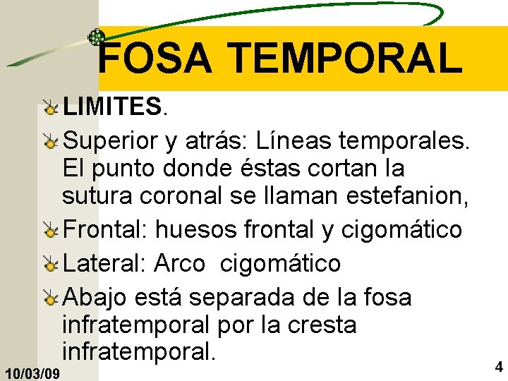 FOSA TEMPORAL LIMITES. Superior y atrás: Líneas temporales. El punto donde éstas cortan la