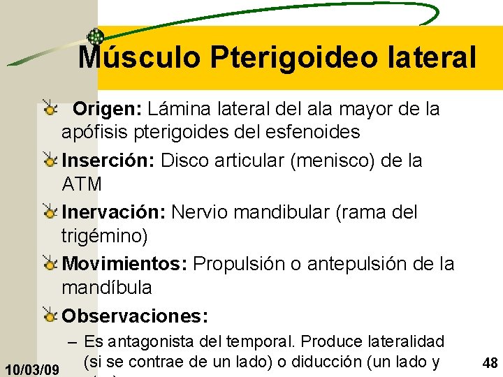 Músculo Pterigoideo lateral Origen: Lámina lateral del ala mayor de la apófisis pterigoides del