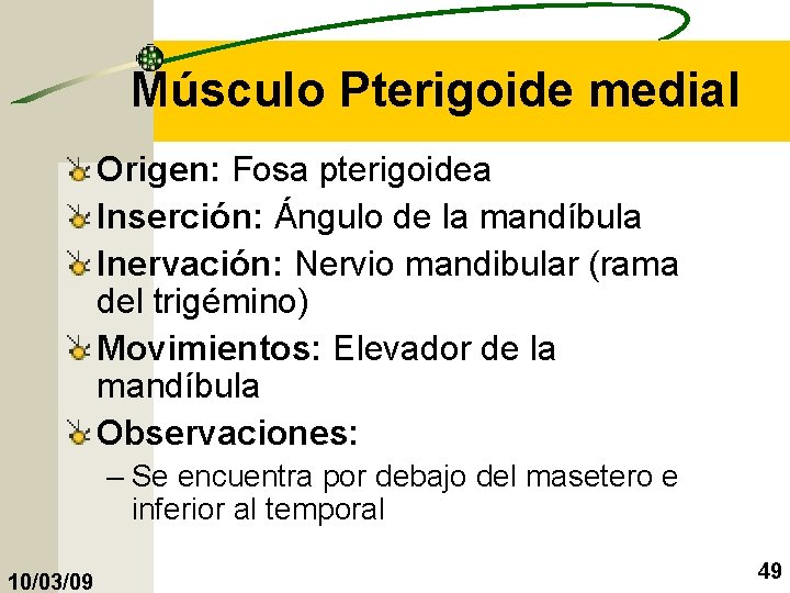 Músculo Pterigoide medial Origen: Fosa pterigoidea Inserción: Ángulo de la mandíbula Inervación: Nervio mandibular