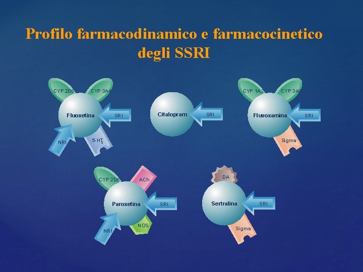 Profilo farmacodinamico e farmacocinetico degli SSRI CYP 2 D 6 CYP 3 A 4 Profilo farmacodinamico e farmacocinetico degli SSRI CYP 2 D 6 CYP 3 A 4