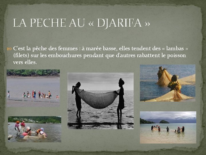 LA PECHE AU « DJARIFA » C’est la pêche des femmes : à marée