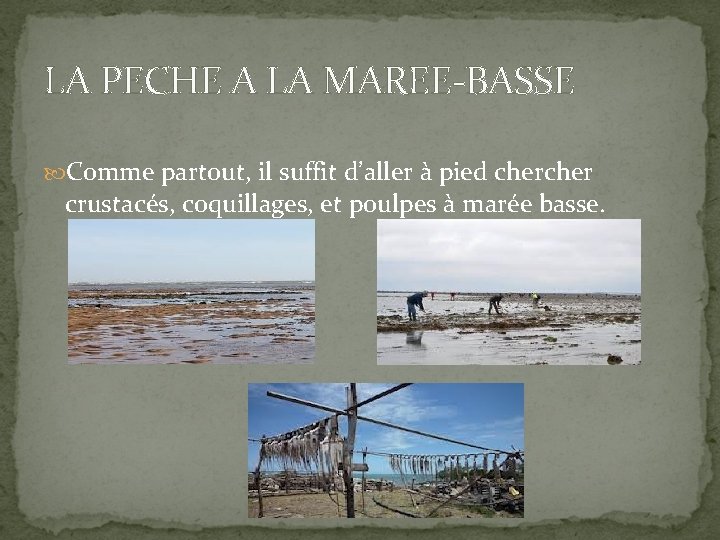 LA PECHE A LA MAREE-BASSE Comme partout, il suffit d’aller à pied cher crustacés,