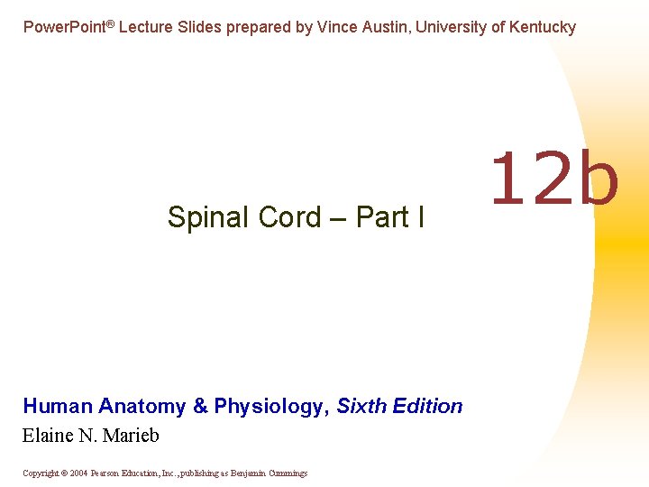 Power. Point® Lecture Slides prepared by Vince Austin, University of Kentucky Spinal Cord –
