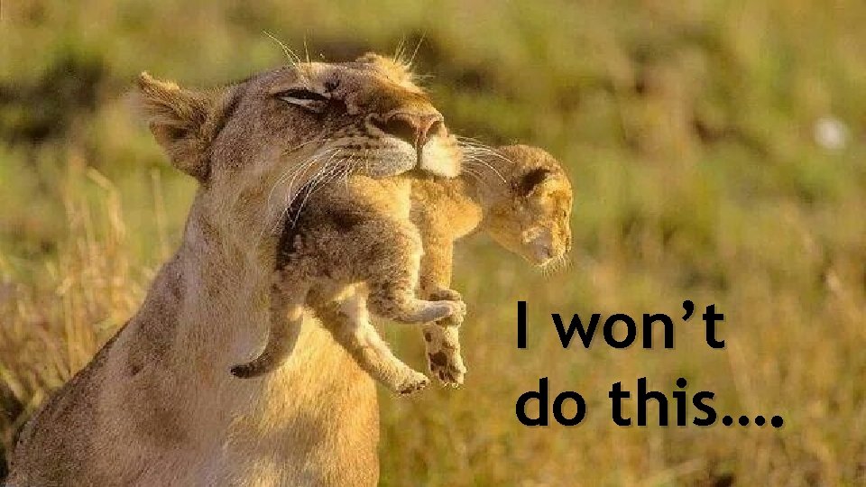 I won’t do this…. 