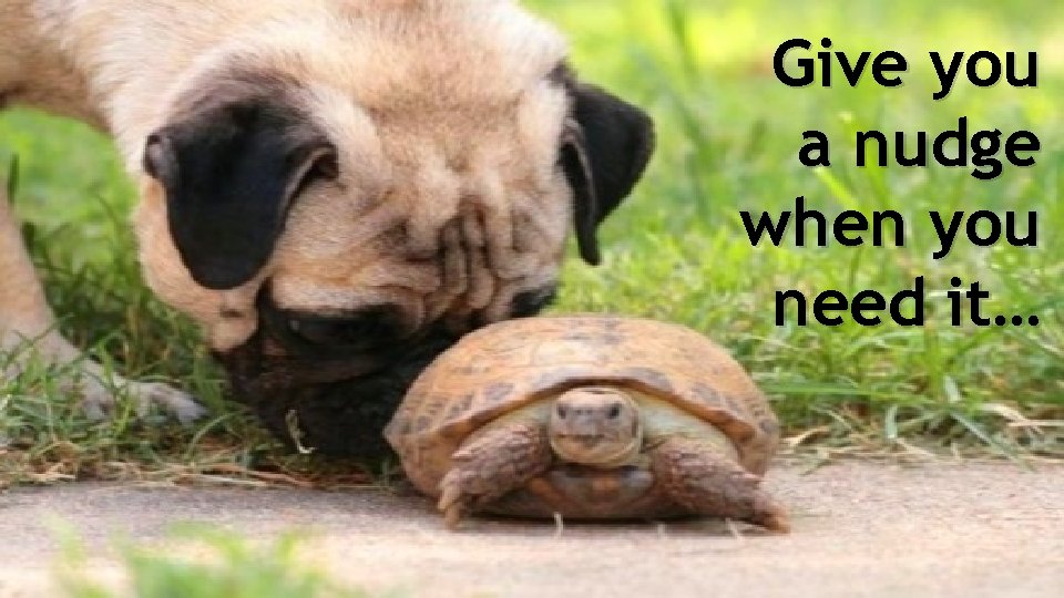 Give you a nudge when you need it… 