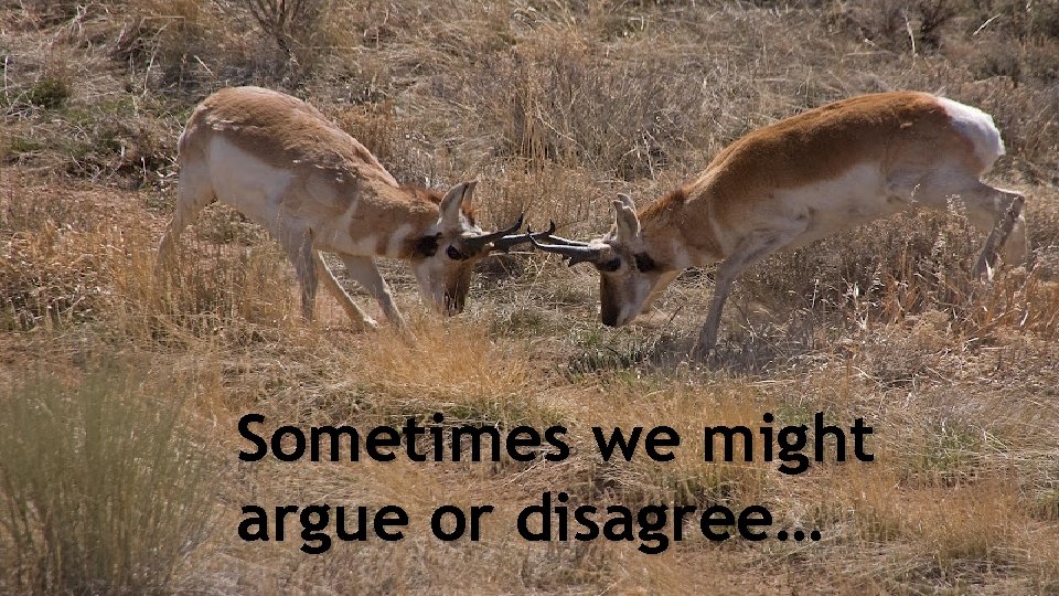 Sometimes we might argue or disagree… 