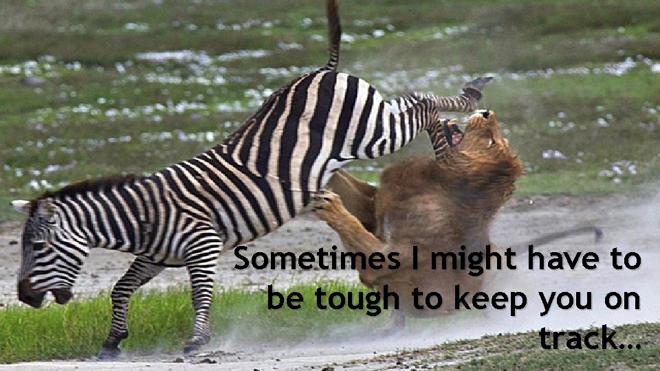 Sometimes I might have to be tough to keep you on track… 